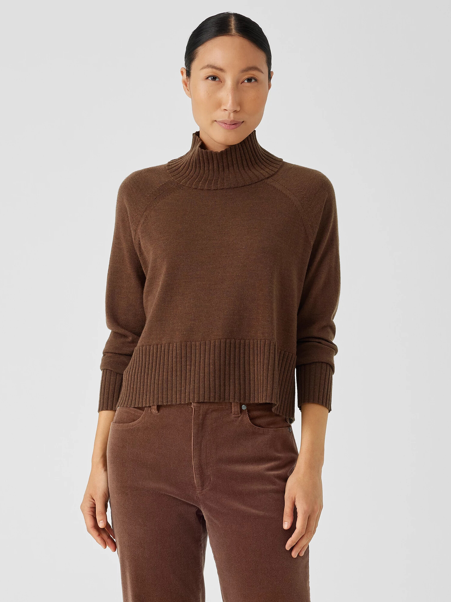 Merino Jersey Turtleneck Top