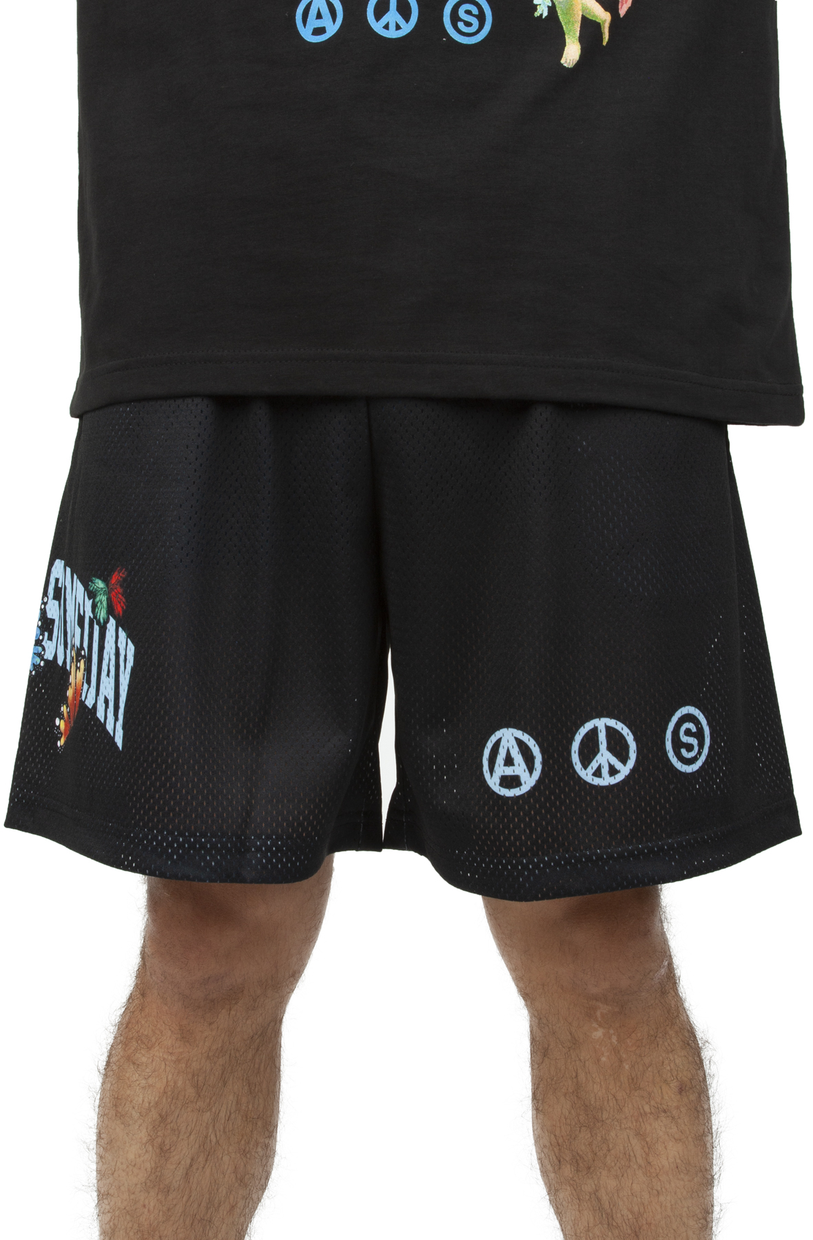 Men Peacock Mesh Shorts Black Shorts M Black Men Peacock Mesh Shorts Black Shorts M Black