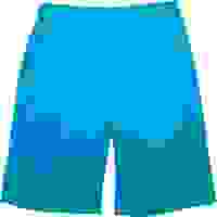 NIKE Mens Casual Shorts Blue Check S W