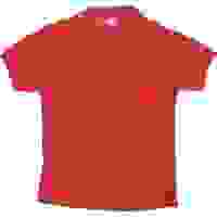 LACOSTE Mens Red Short Sleeve Plain Polo Shirt S Classic Cotton Blend LACOSTE Mens Red Short Sleeve Plain Polo Shirt S Classic Cotton Blend