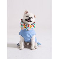 Trench Style Raincoat for Pet Sky Blue Trench Style Raincoat for Pet Sky Blue