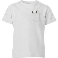 Harry Potter Harry Potter Pocket Glasses Kids’ Shirt – Grey – – Harry Potter Harry Potter Pocket Glasses Kids’ Shirt – Grey – –
